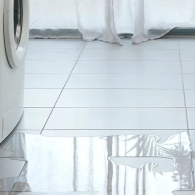 Appliance Leak Cleanup in Deer Park, IL