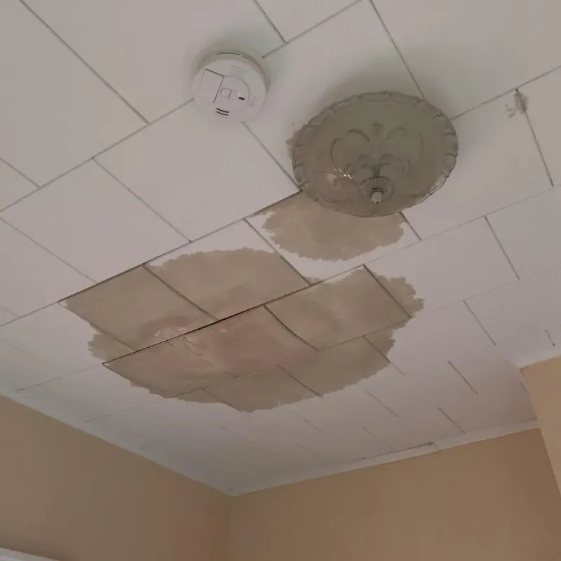 Ceiling Water Damage Repair in Deer Park, IL
